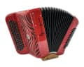 Accordéon en position de jeu (image catalogue)