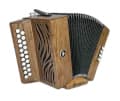 Accordéon en position jeu (image catalogue)